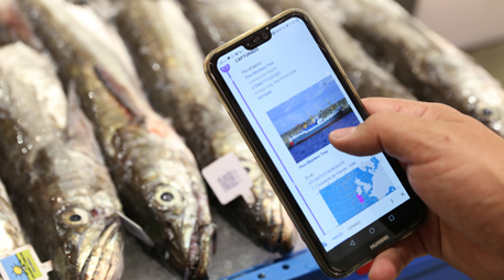 Carrefour lanza el primer blockchain de pescado fresco