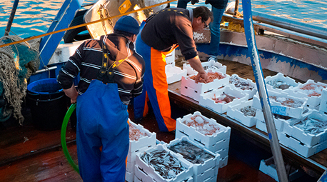 Gran apoyo de Carrefour al sector pesquero Español
