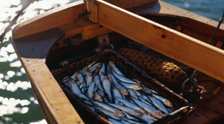 Carrefour refuerza su apoyo al sector pesquero gaditano
