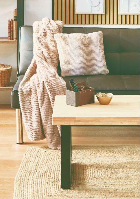 El limpiador viral de sofás y alfombras que necesitas en tu casa está de  oferta en Lidl